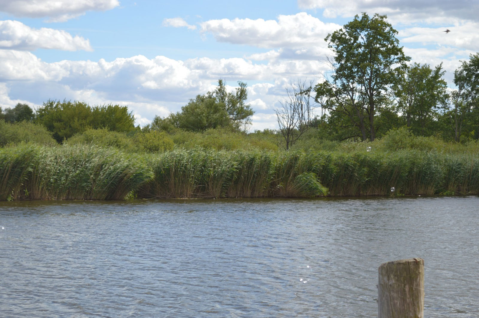 LAG "Flusslandschaft Peenetal"